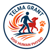 doghorsephysio.ca